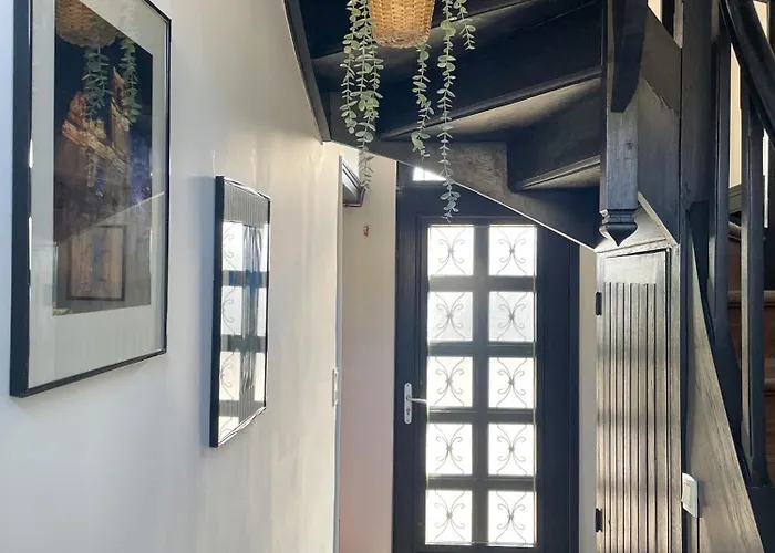 Appartement 60m2, 1 Chambre, Saint éloi